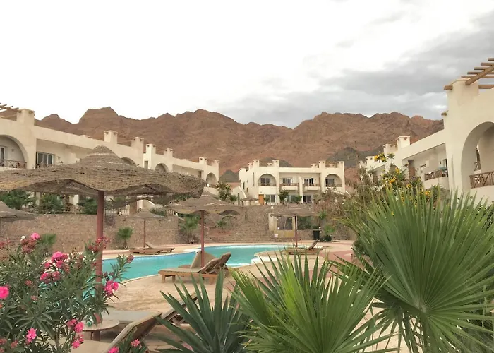 Sunny Executive * Dahab