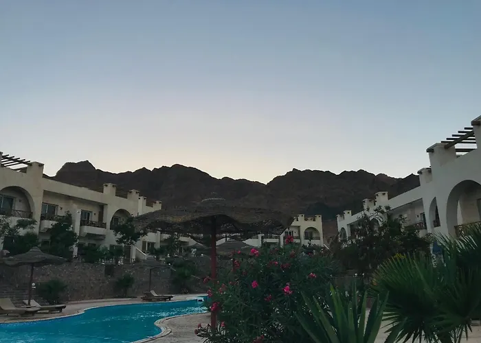 Sunny Executive * Dahab