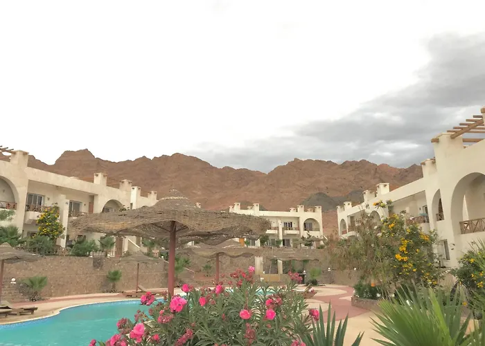 Sunny Executive Apartman Dahab