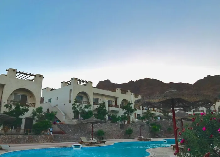 Sunny Executive Dahab